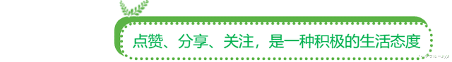90后女孩一场梦 甜甜蜜蜜的全职太太梦被敲碎后，洪欣变了，现在的她眼里只有金钱