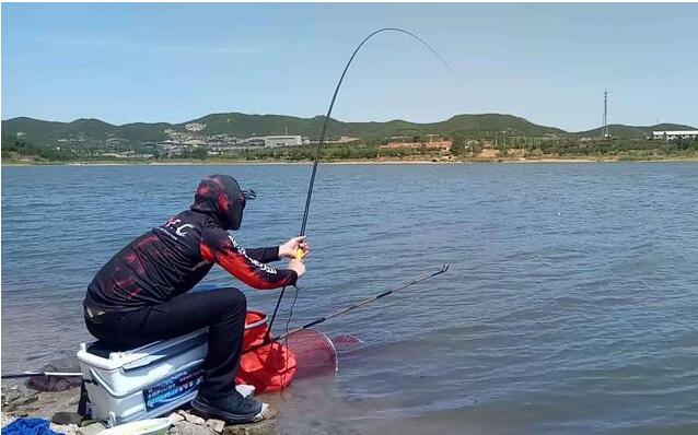 饵料|钓鱼遇截口怎么办？看高手们是怎么做的