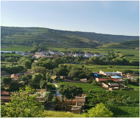 陪读时间|难忘悠江小学：我的小学早被拆除了，尽管它破旧穷酸，可怀念依旧