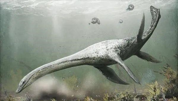 尼斯湖水怪 “尼斯水怪”到底存不存在?争论了几十年为何一直没有结果?