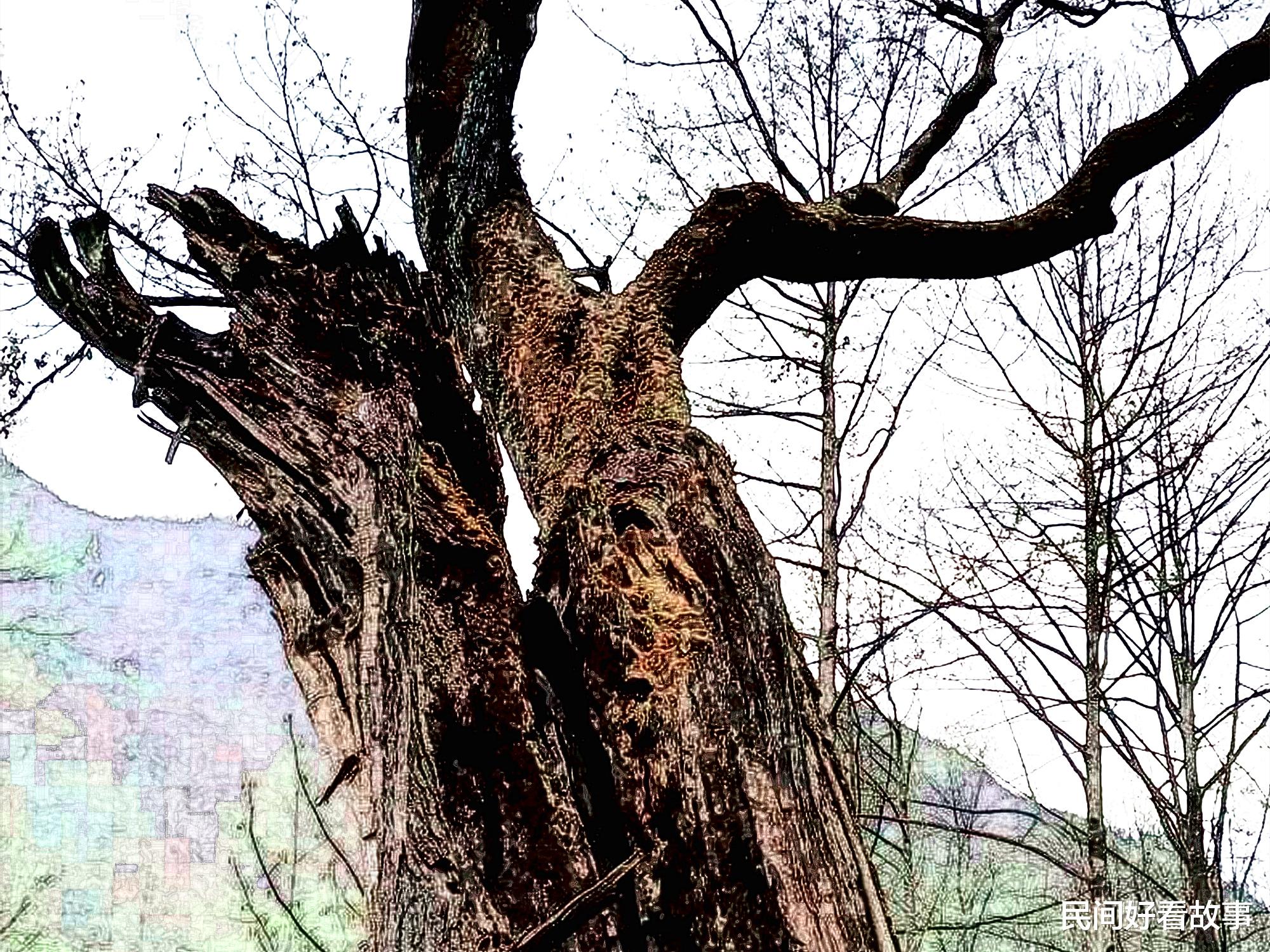 陈东 家有贤妻少祸端 天雷打醒不孝儿媳