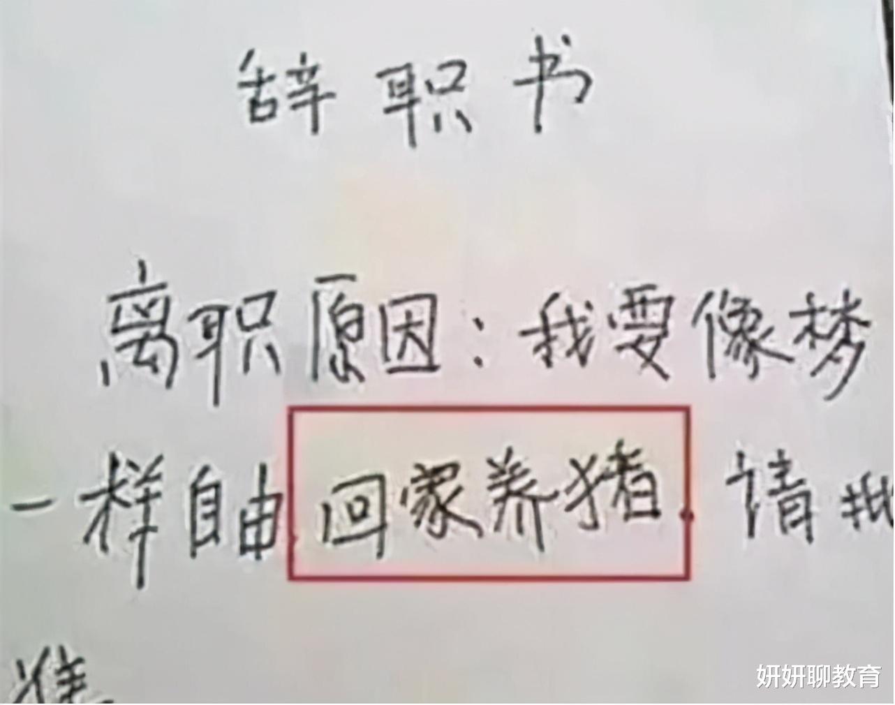 00后|00后毕业生辞职信火了，离职理由“过于任性”，直戳老板心窝