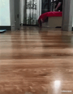 小琳解说星座|小姑娘你后面这是什么东西呢?自拍的时候还是长点心吧秘密都暴露了,哈哈哈哈