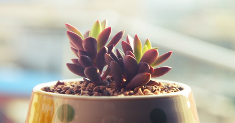 汽车|本科生裸辞116天，找工作的第1天