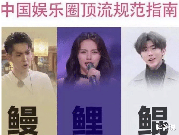 流量明星|流量明星其实只是一个白手套，幕后黑手的好日子就要到头了