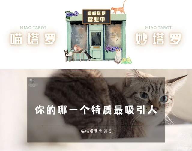 喵喵的塔罗|喵喵塔罗牌测试，你的哪一个特质最吸引人