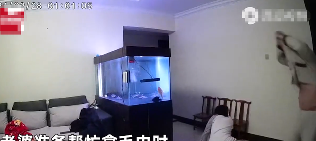 秋思暖暖 辽宁沈阳：鱼跃出鱼缸，妻子帮忙不慎滑倒，丈夫的一波操作亮了