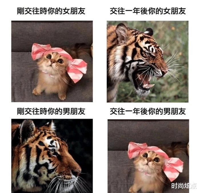 时尚炫点 “跟十亿身价的女孩，谈6年恋爱，是种什么体验？”