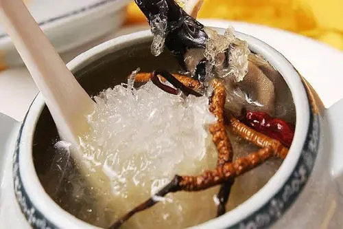 曲草堂滋补养生旗舰店 吸烟危害大，虫草为你的“肺”保驾护航