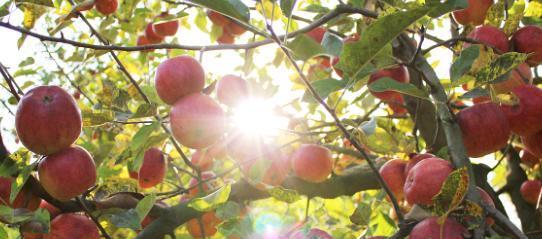 肯德基|女儿生孩子母亲去探望，感觉热看了眼空调，才知道女儿过得委屈