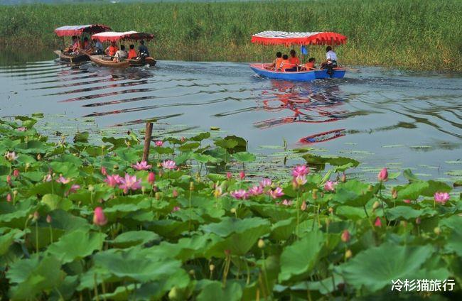 浙江省 去过一次就不想再去第二次的八大知名景点，有你去过的吗？