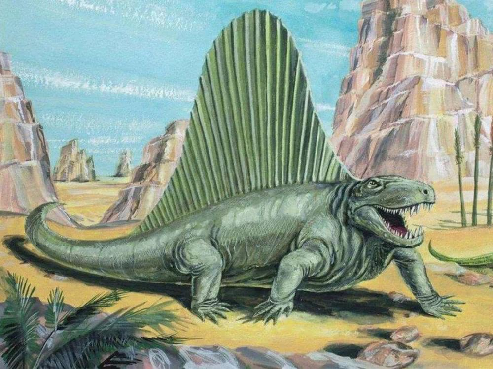二叠纪生物，存在于恐龙之前的生命