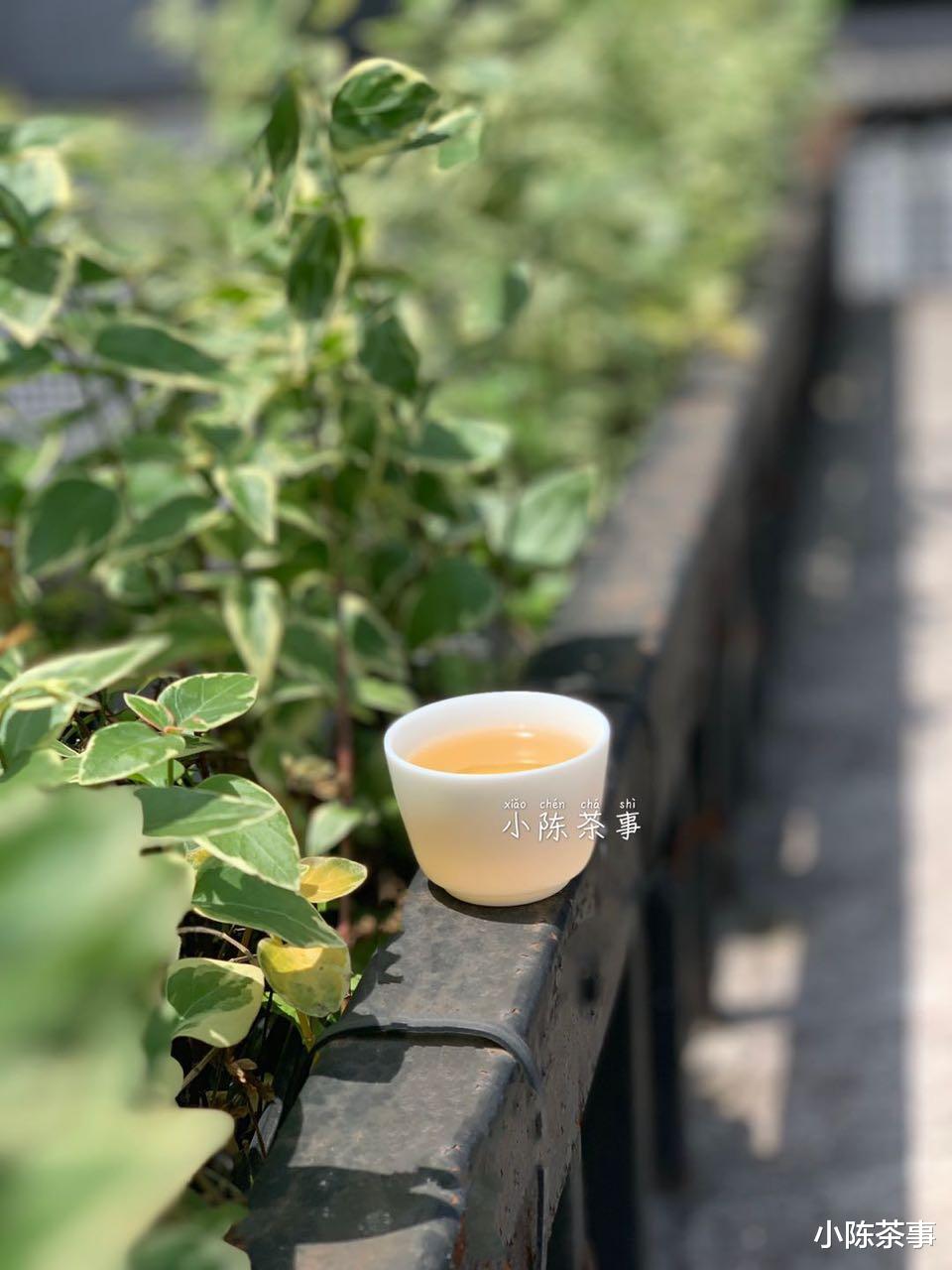 高血压|煮老白茶加什么好喝？菊花、红枣，还是陈皮？煮茶切勿画蛇添足！
