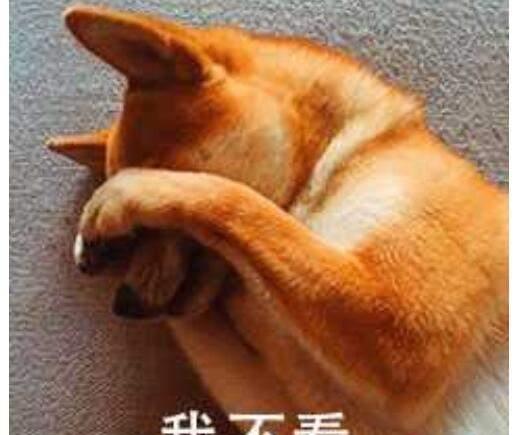 长津湖|老外怎么看《长津湖》？战斗民族求出俄文版，不然就只能下盗版了