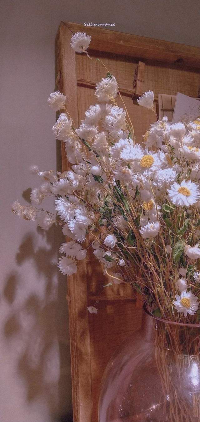 |梦琪的美女写真图库第三期