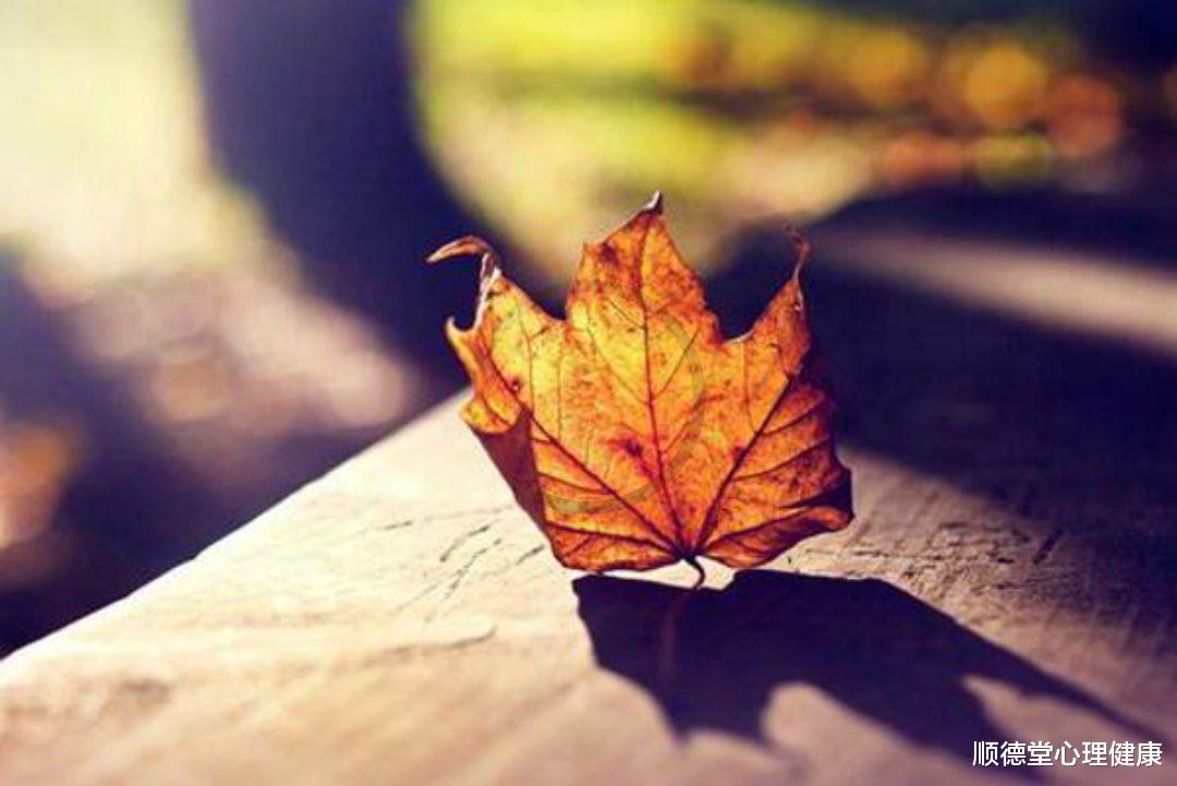 顺德堂心理健康|抑郁：抑郁三年，吃抗抑郁药也有无助感，体会不到情感，怎么办？