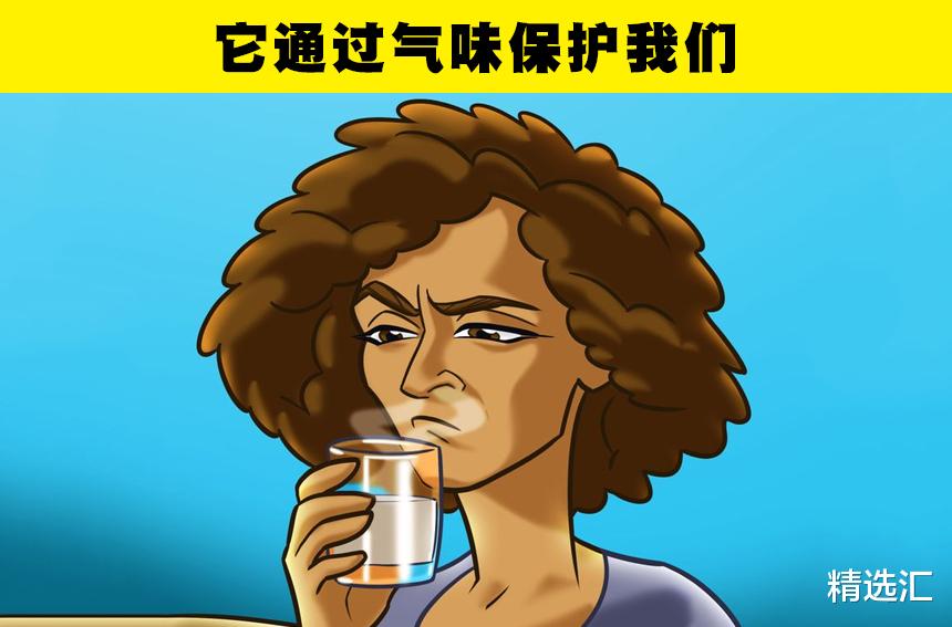  你的鼻子比你想象的更强大！人类鼻子所存在的7个强大的功能