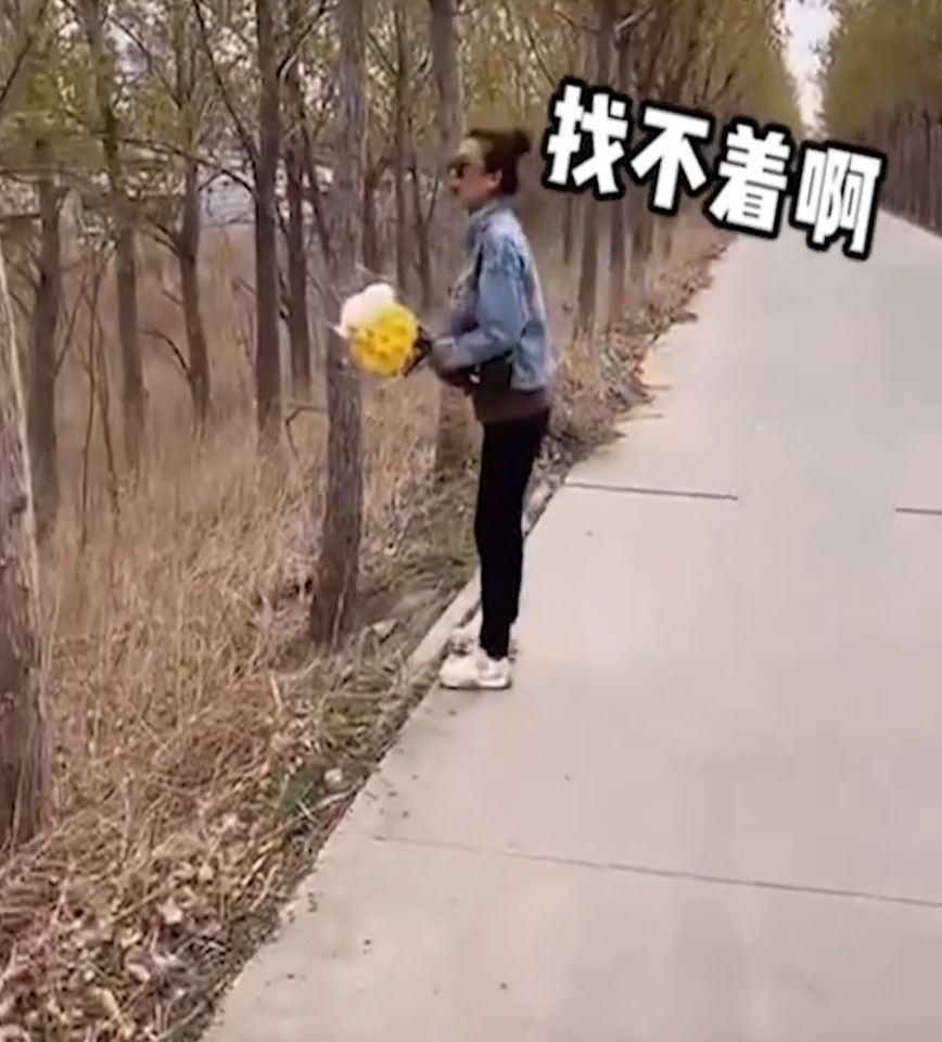 民生小鱼 网友笑喷！天津一女子扫墓找不到坟头，冲老祖宗喊话：发个定位吧