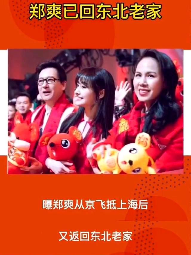 郑爽|郑爽的社交平台被封，曾花1000万开发社交软件，被程序员质疑洗钱