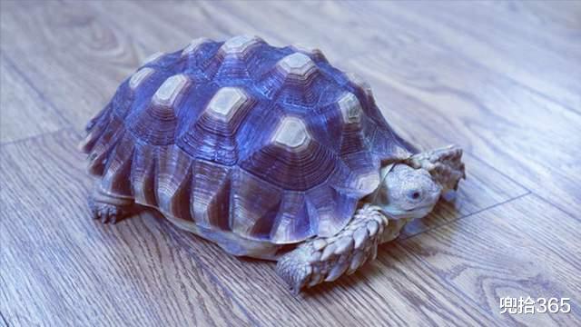 上海市 上海一男子运气太好了，走路都能捡个宝，直接叫来了警察