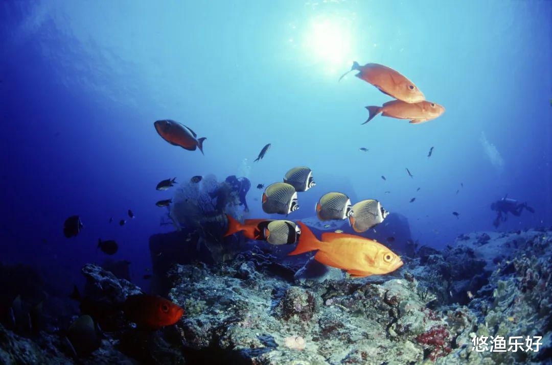 |钓鱼人杀生会遭报应吗？分析后得知，纯属无稽之谈