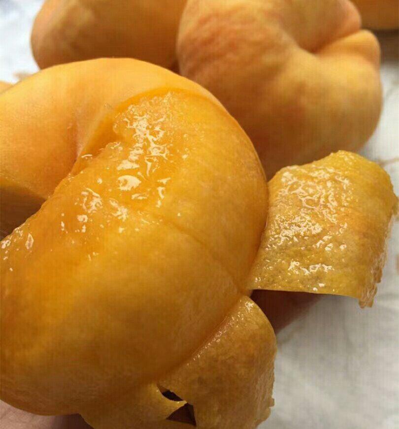 糖尿病|建议:不管有钱没钱,8月别错过这五种水果,营养美味身体棒