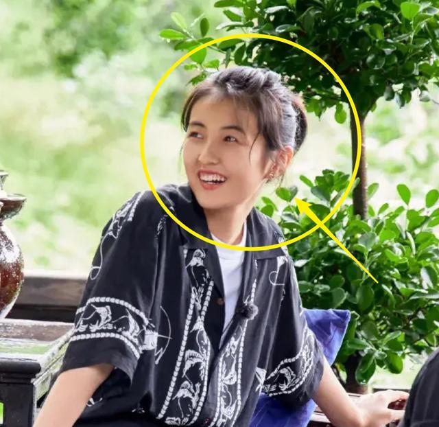 张艺兴|《向往5》五人海报出炉，妹妹站C位，新成员张艺兴站位引热议