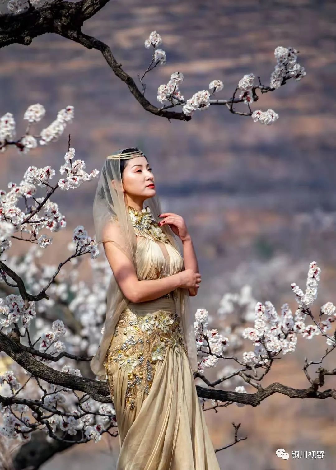 铜川周春辉 气球[【作者：铜川陈广建】