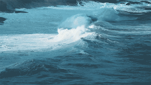  如果50米高的海啸来袭，人类一头扎进水里能否躲过一劫？