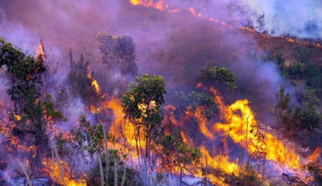 情微说 黄石超级火山：地球上最大的“火药桶”，究竟有多恐怖？