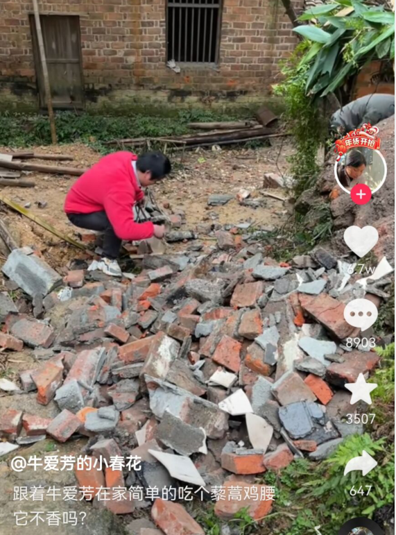 |牛爱芳首次回怼网友，称自己是记录生活，砸别人家房子又惹争议