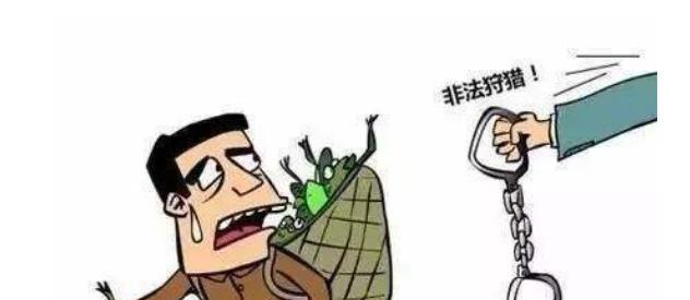 安徽一老师拿弹弓捕鸟却不幸击中高铁,不仅赔偿26万,还管制一年