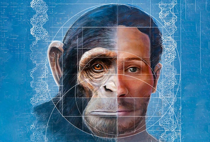 蜘蛛 美国秘密创造“变种人”，为了移民火星，已开始改造人类基因