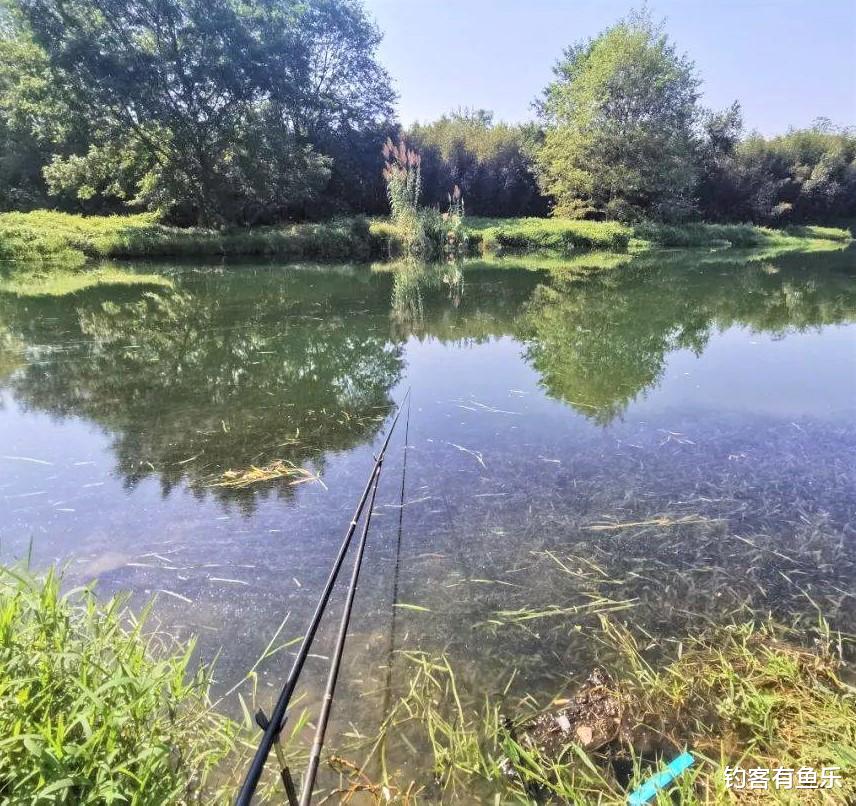 |打隔夜窝也有技巧？冬天野钓鲤鱼注意这三点，轻松爆护