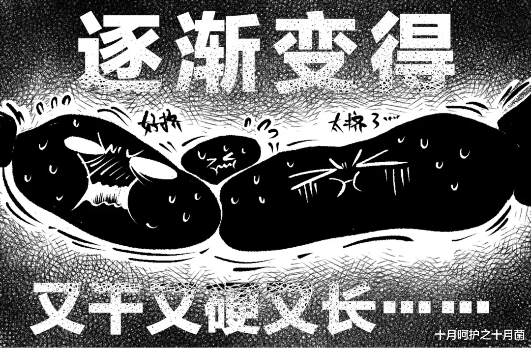 十月呵护之十月菌|4岁前别让孩子这样拉屎！特别伤屁股，小心便秘又肛裂