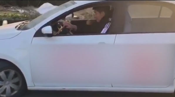 朱单伟|大衣哥家迎来大喜事，朱单伟科目二考了100分，庆功宴上一脸骄傲