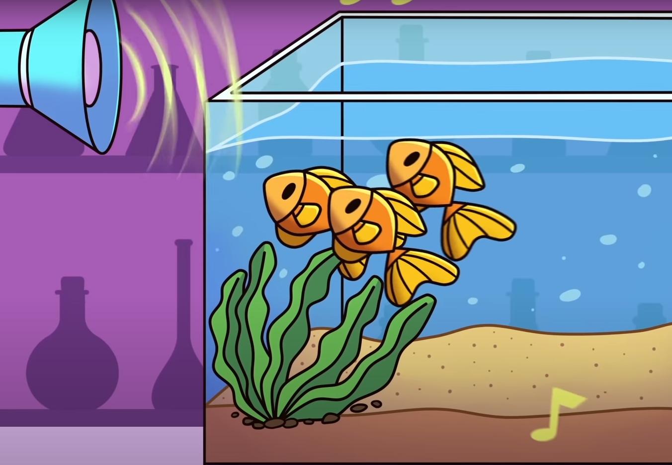 驯鹿 10个流传很广的谎言，你还在相信吗？