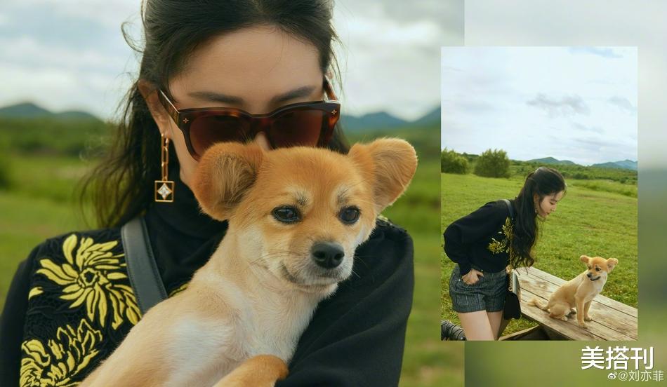 刘亦菲|刘亦菲晒假期美照，每一张都是高级大片，网友：衣品不行但人好看