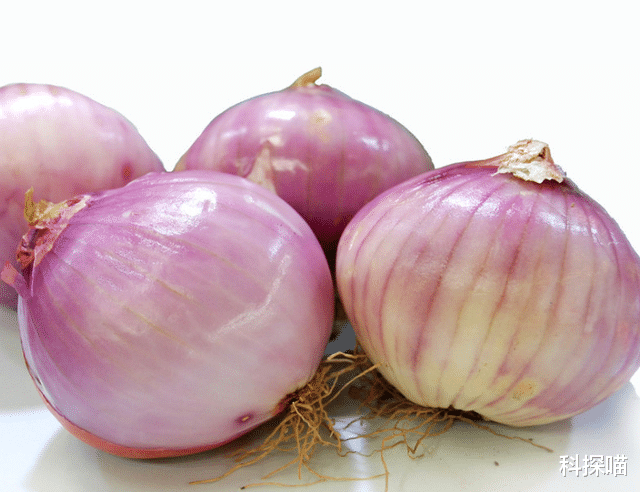 洋葱|高血压不能碰“洋葱”？专家提醒：想要血压平稳，5种食物可常吃