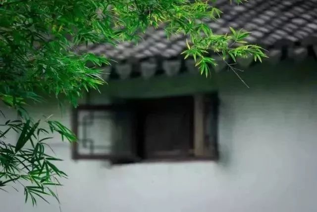 属牛|下周开始，人生“柳暗花明”，职场有鸿运，财源节节高的3个生肖