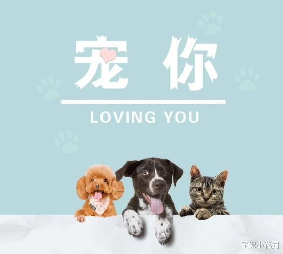 杨蓉|黄子韬迎来新剧，上演霸道总裁，搭档90后小花