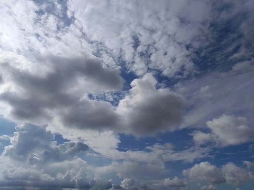 我要飞到天上去 怎么看有的农民发财后不再回农村？