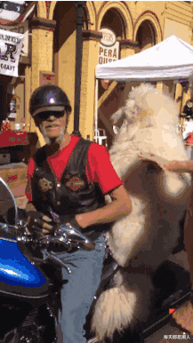 每天都是潮人|神回复：为什么美剧里面很少有阴柔的男主角？