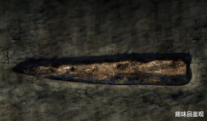 科学家 科学家发现4亿年前的铁锤，堪称古生代超级合金，是谁制造的？