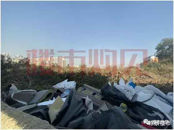 吴中|大东区第二次土拍“0”供！别急，主城还有这几个地块值得关注