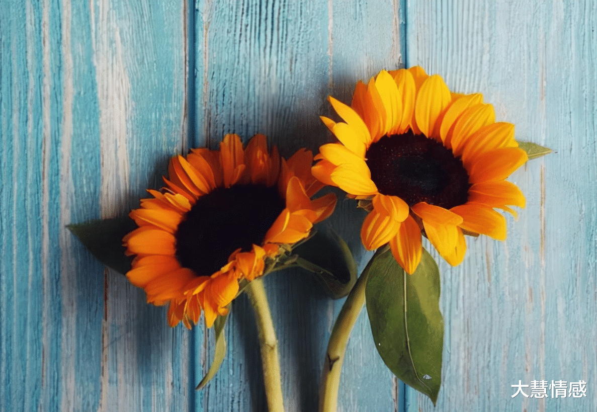 脑梗|一个人顶级的自律,是早睡早起