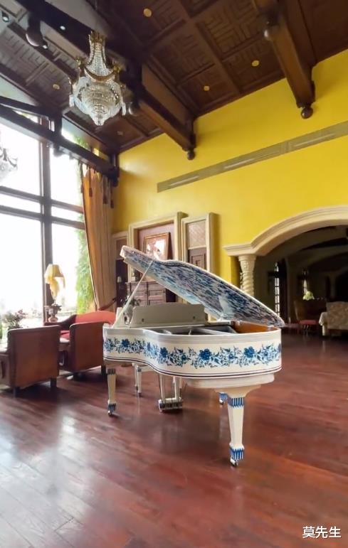 姚安娜|姚安娜深圳半山城堡曝光，价值5个亿，邻居是第一批富起来的人