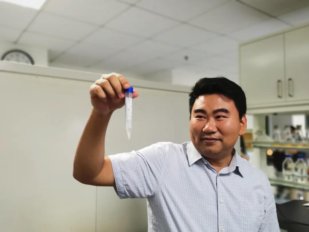 探测器 不用种地了？我国科学家用二氧化碳合成淀粉，效率是玉米的8.5倍