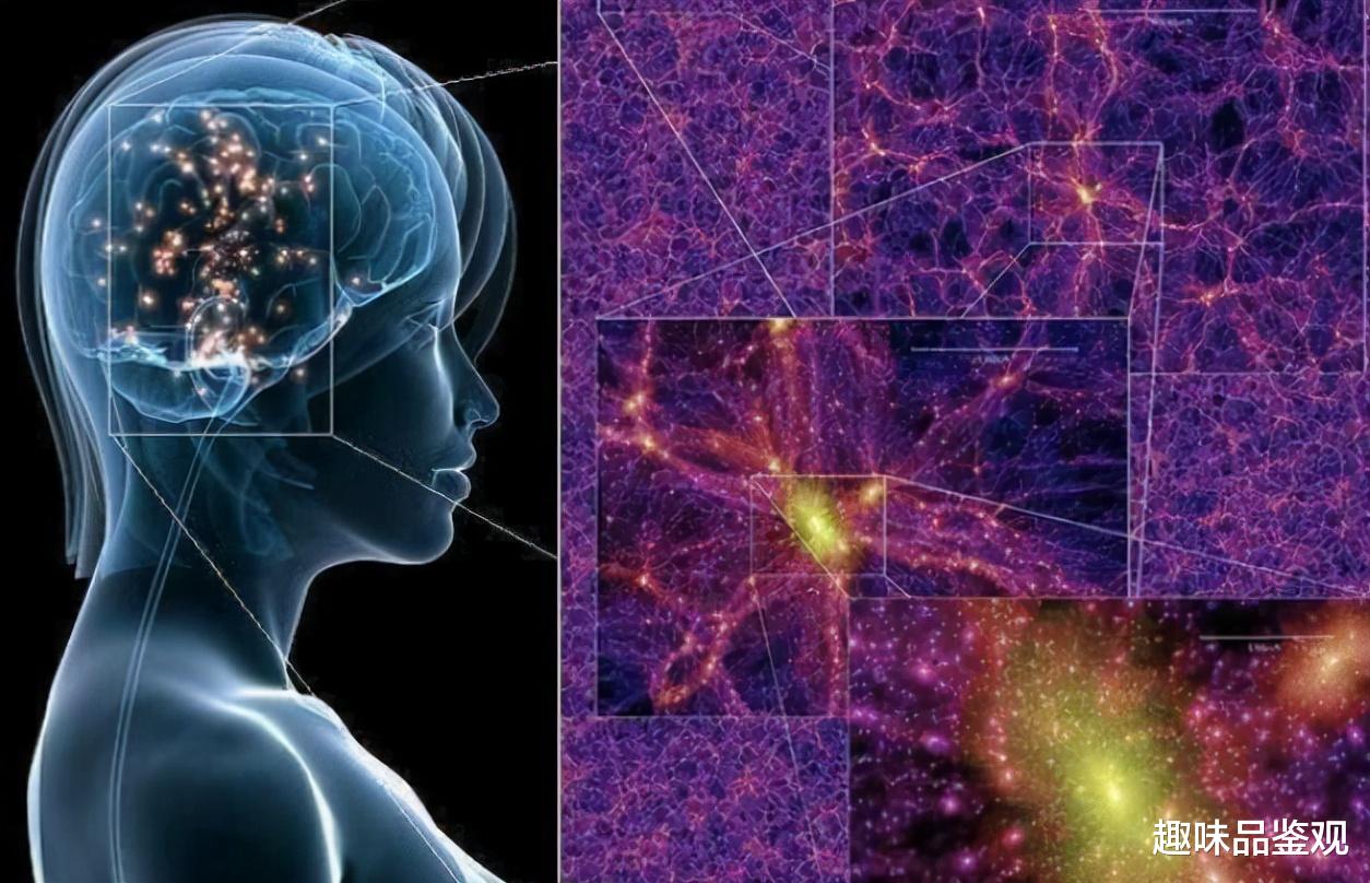 科学家 大脑和宇宙两者本质相同？为何它们结构如此相似？细思极恐（上）