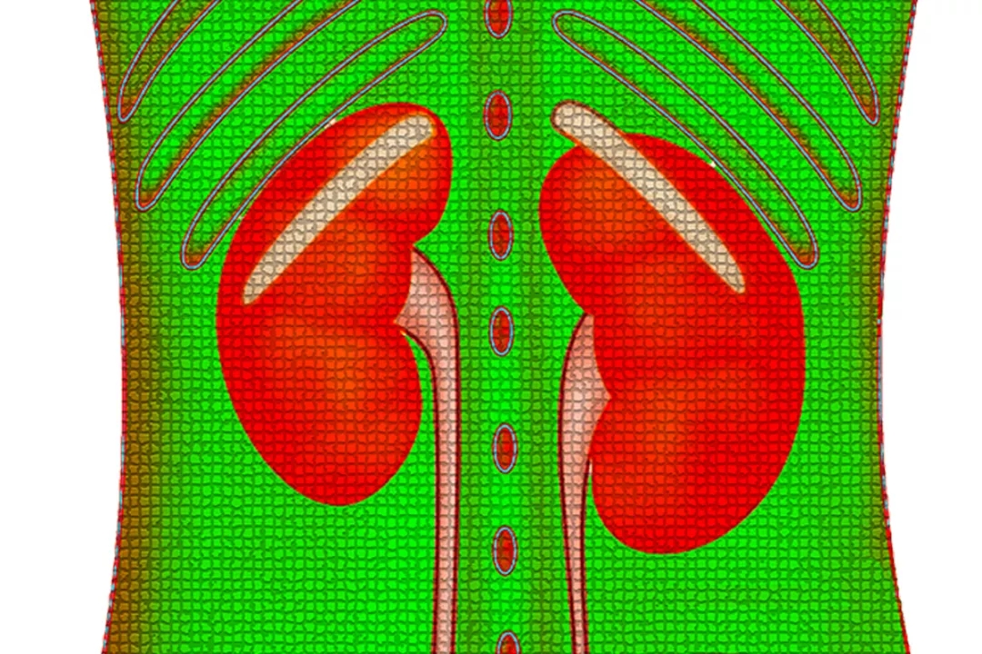 爱肾网|药物相关急性肾损伤——肾友必须引起重视！